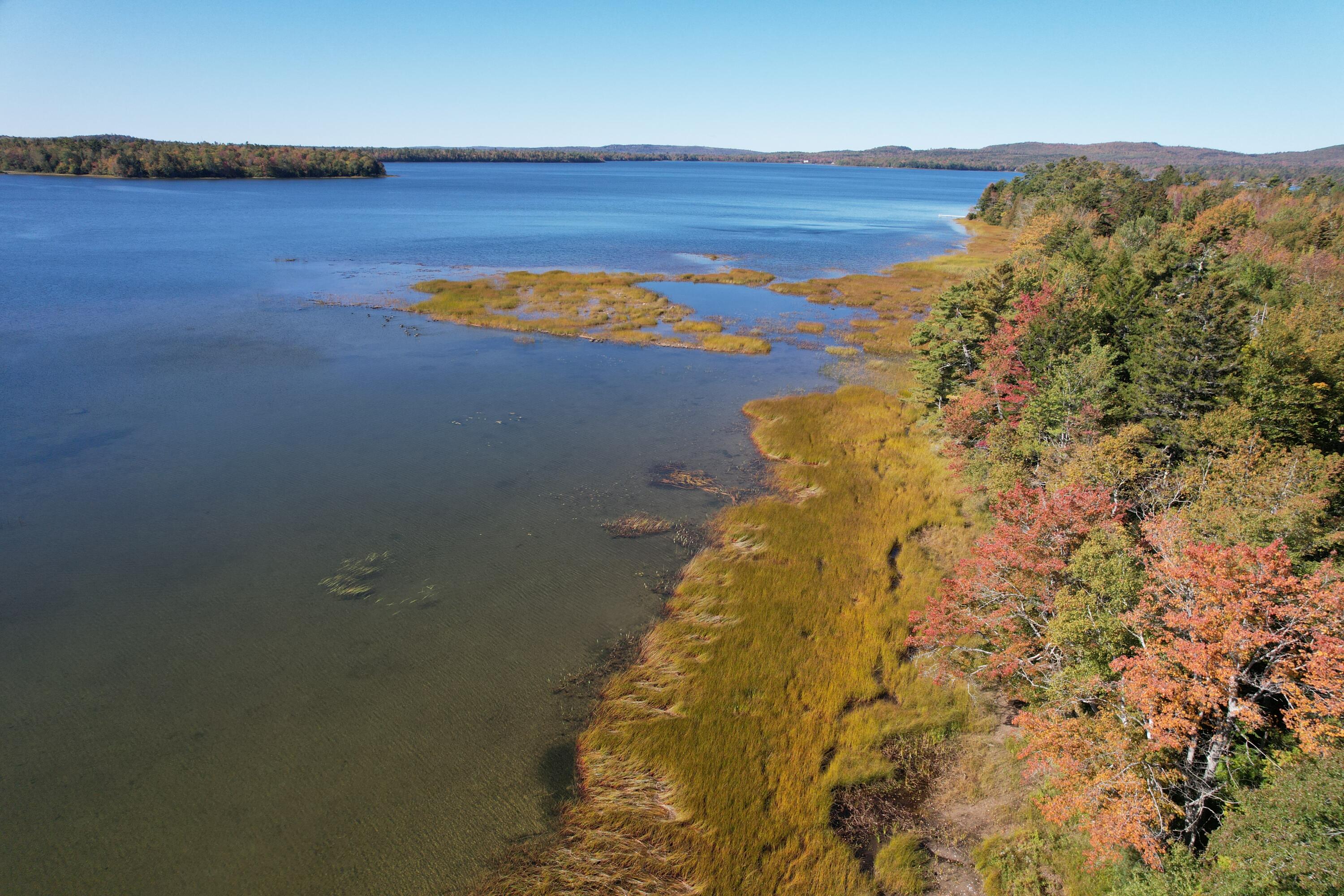 47 Tranquility Lane Perry, ME 04667 - Photo 66 of 82 DJI_0681