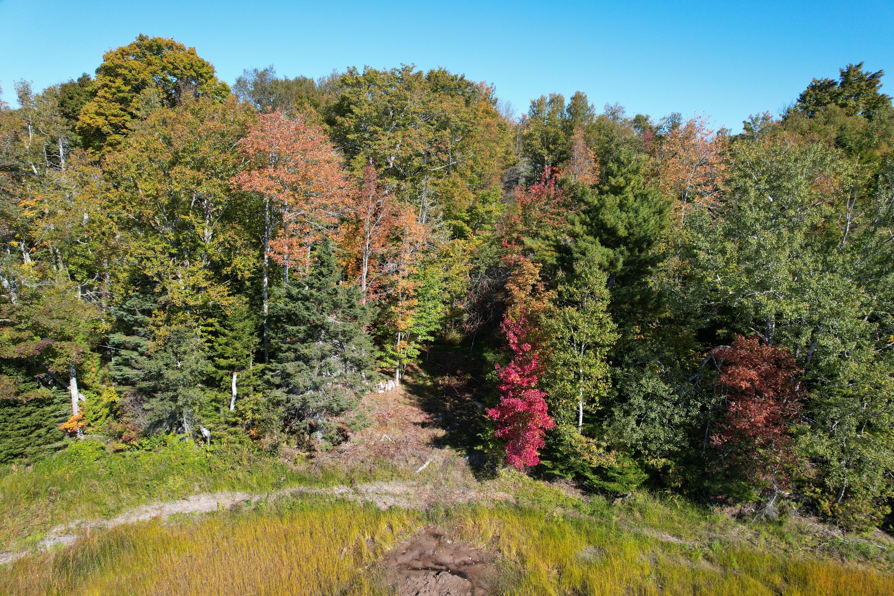47 Tranquility Lane Perry, ME 04667 - Photo 69 of 82 DJI_0684