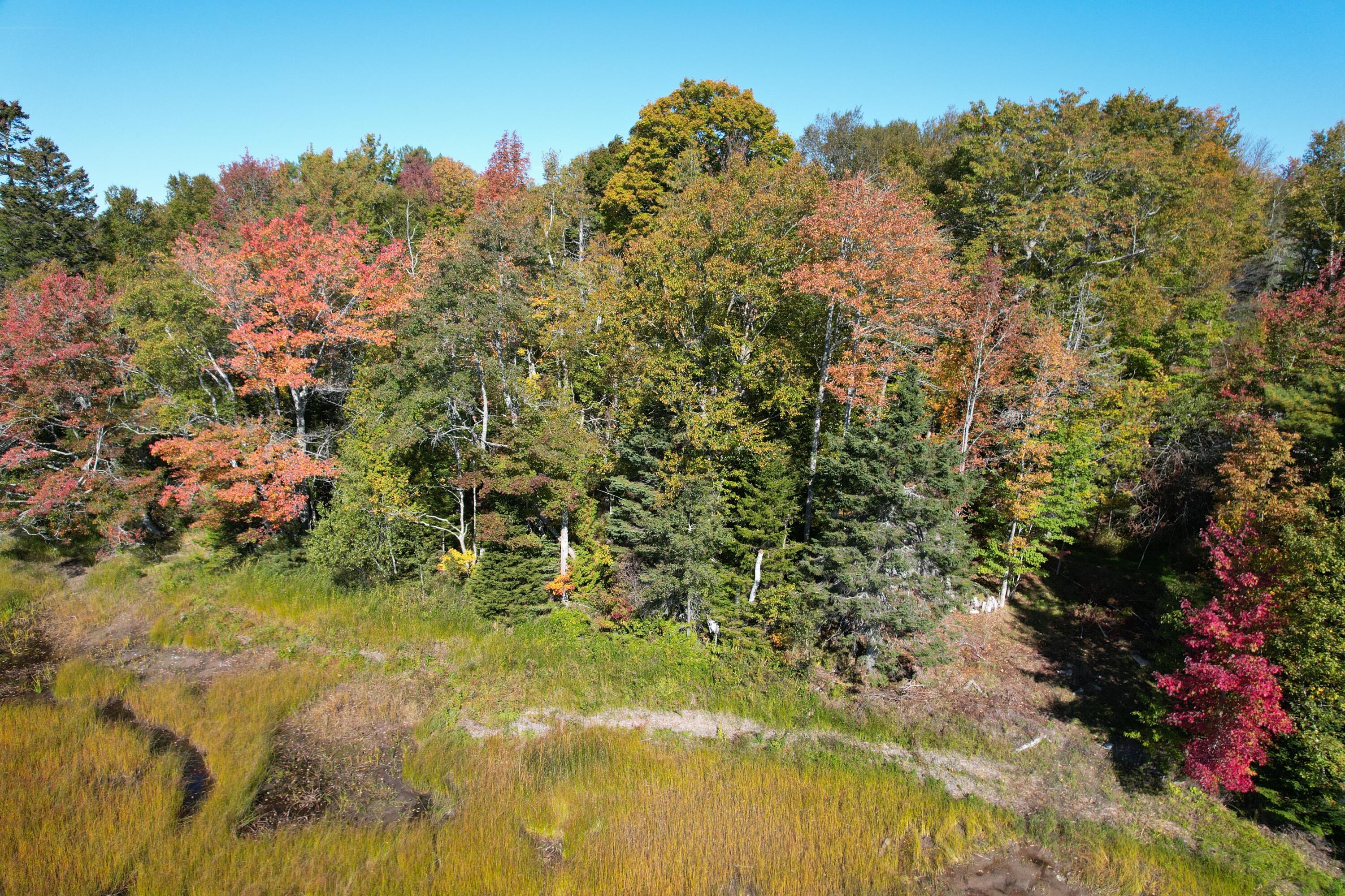 47 Tranquility Lane Perry, ME 04667 - Photo 71 of 82 DJI_0686