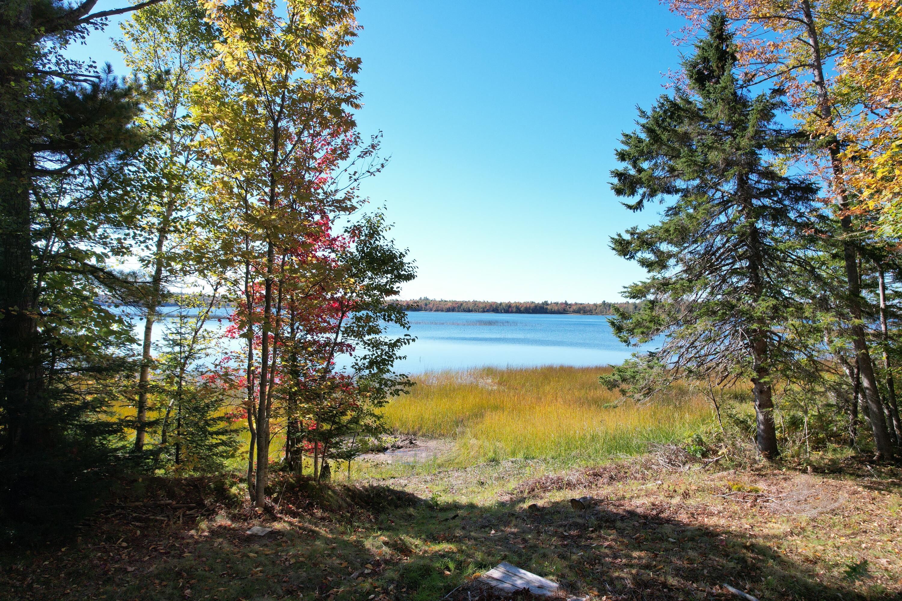 47 Tranquility Lane Perry, ME 04667 - Photo 72 of 82 DJI_0692