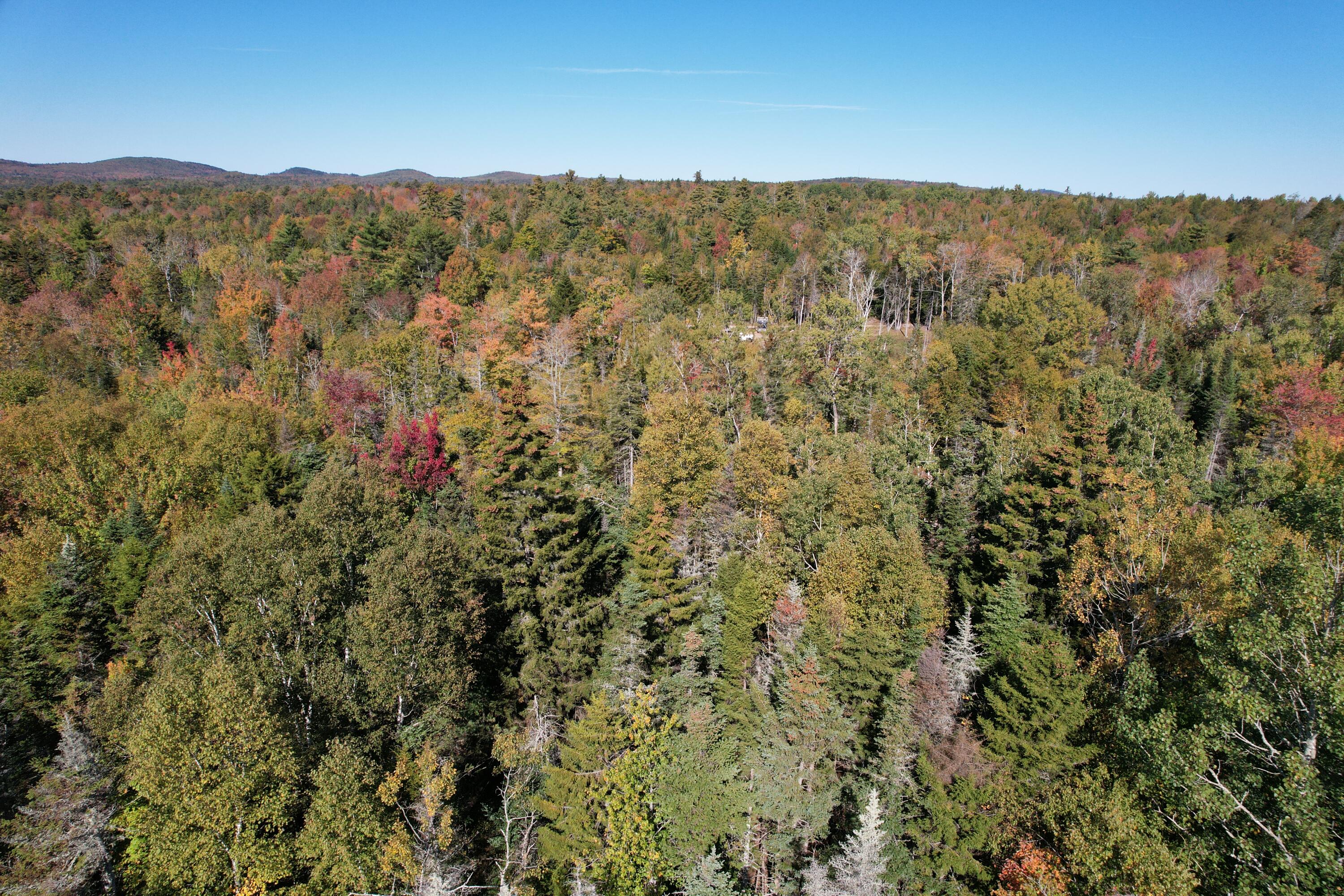 47 Tranquility Lane Perry, ME 04667 - Photo 80 of 82 DJI_0715