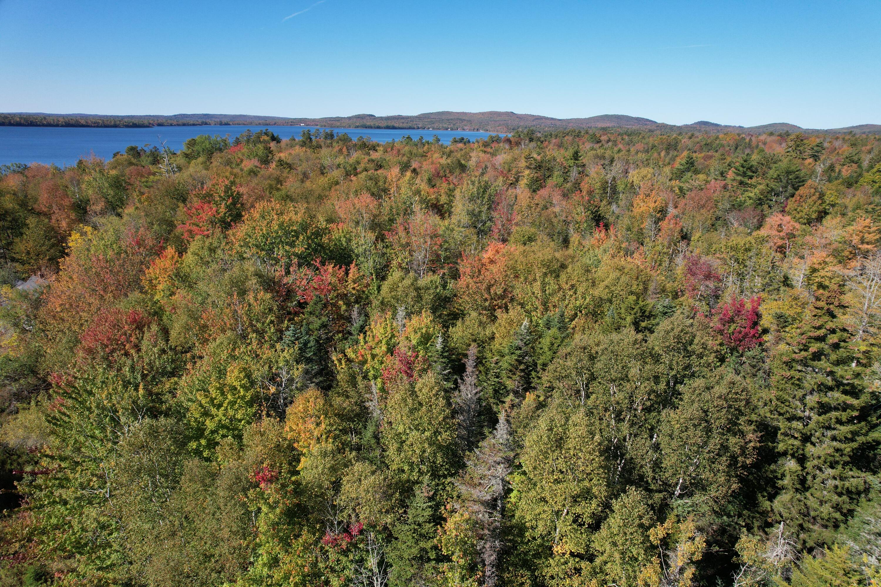 47 Tranquility Lane Perry, ME 04667 - Photo 81 of 82 DJI_0716