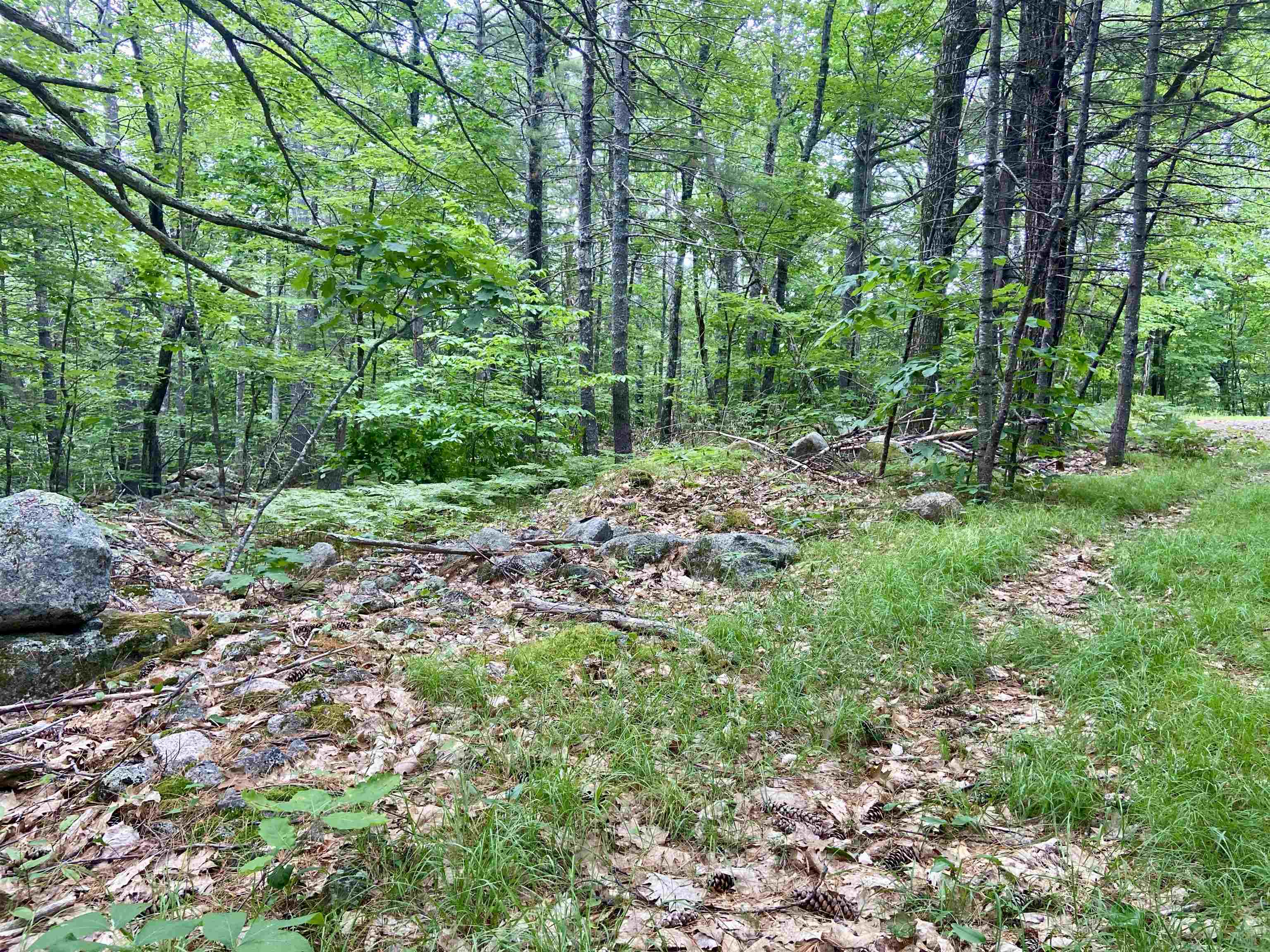 3 Old Town Road Madison, NH 03818 - Photo 1 of 9