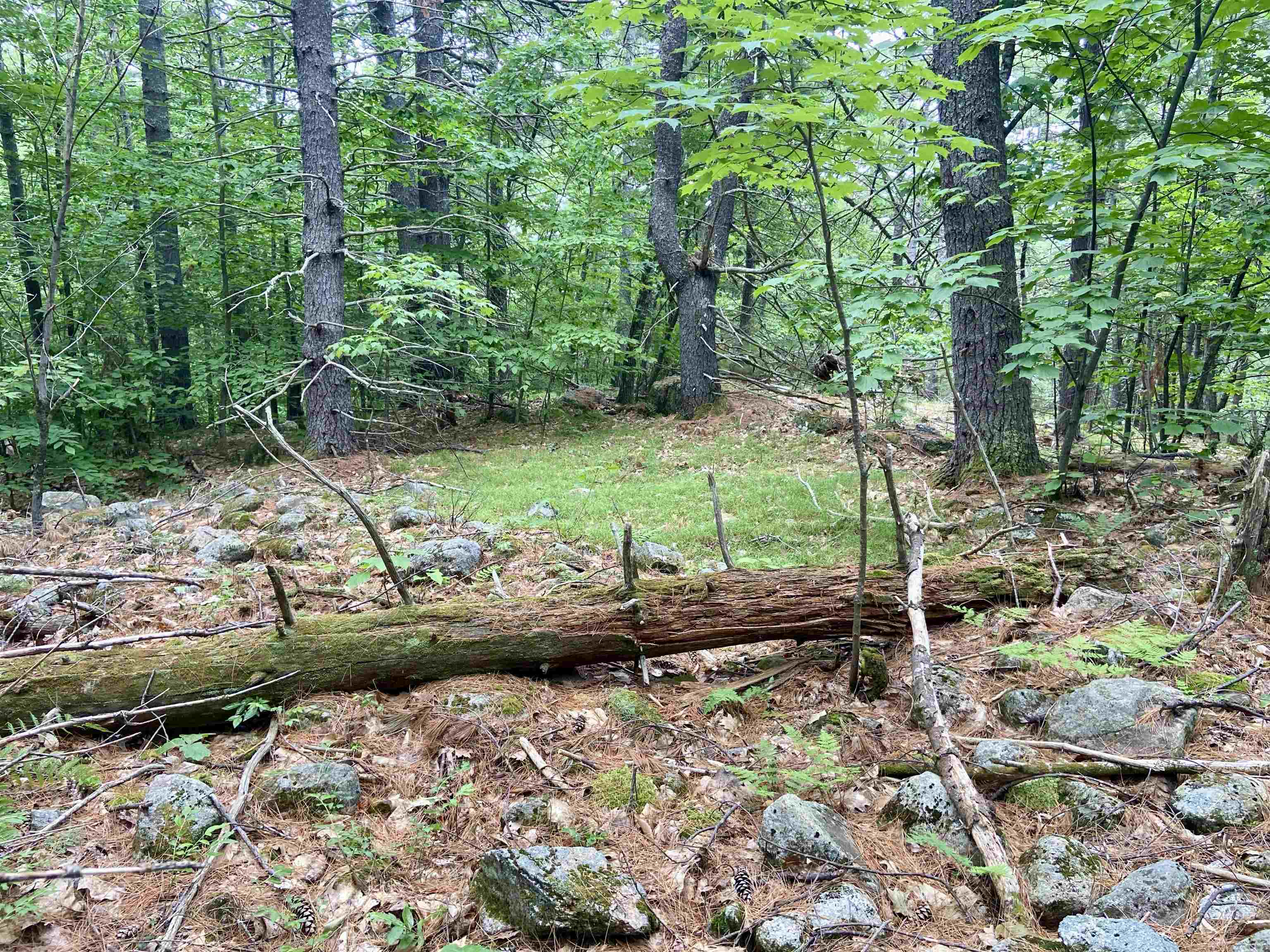 3 Old Town Road Madison, NH 03818 - Photo 4 of 9