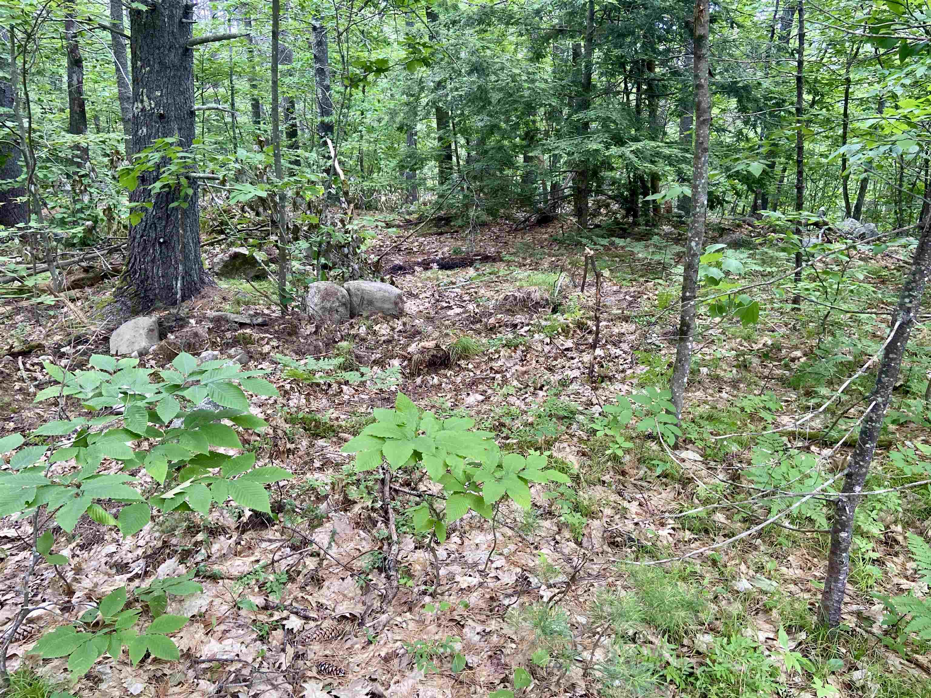 3 Old Town Road Madison, NH 03818 - Photo 5 of 9