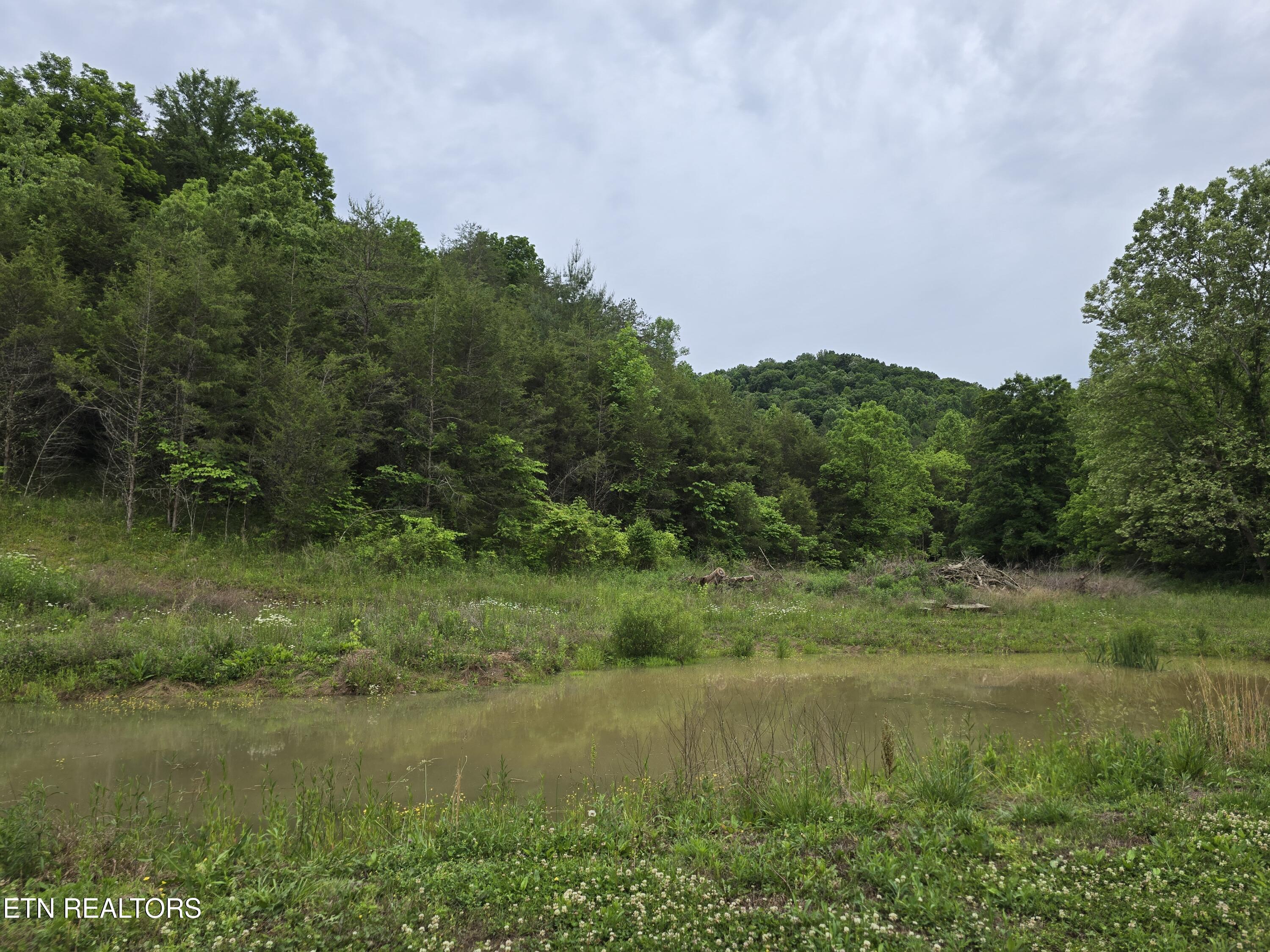 2615 Stoney Fork Road Sneedville, TN 37869 - Photo 40 of 60 20260525_192449