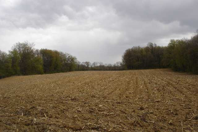 Par C North Parma Road Parma, MI 49269 - Photo 1 of 2 Photo 1