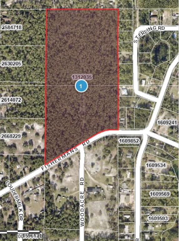 Fishermans Road Paisley, FL 32767 - Photo 1 of 4 Gallery Image 1