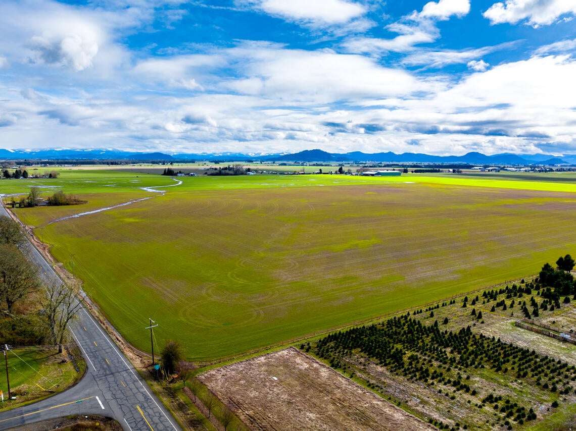 0 Ellingson Road Southeast Albany, OR 97389 - Photo 13 of 18 0 Ellingson Rd MLS 8
