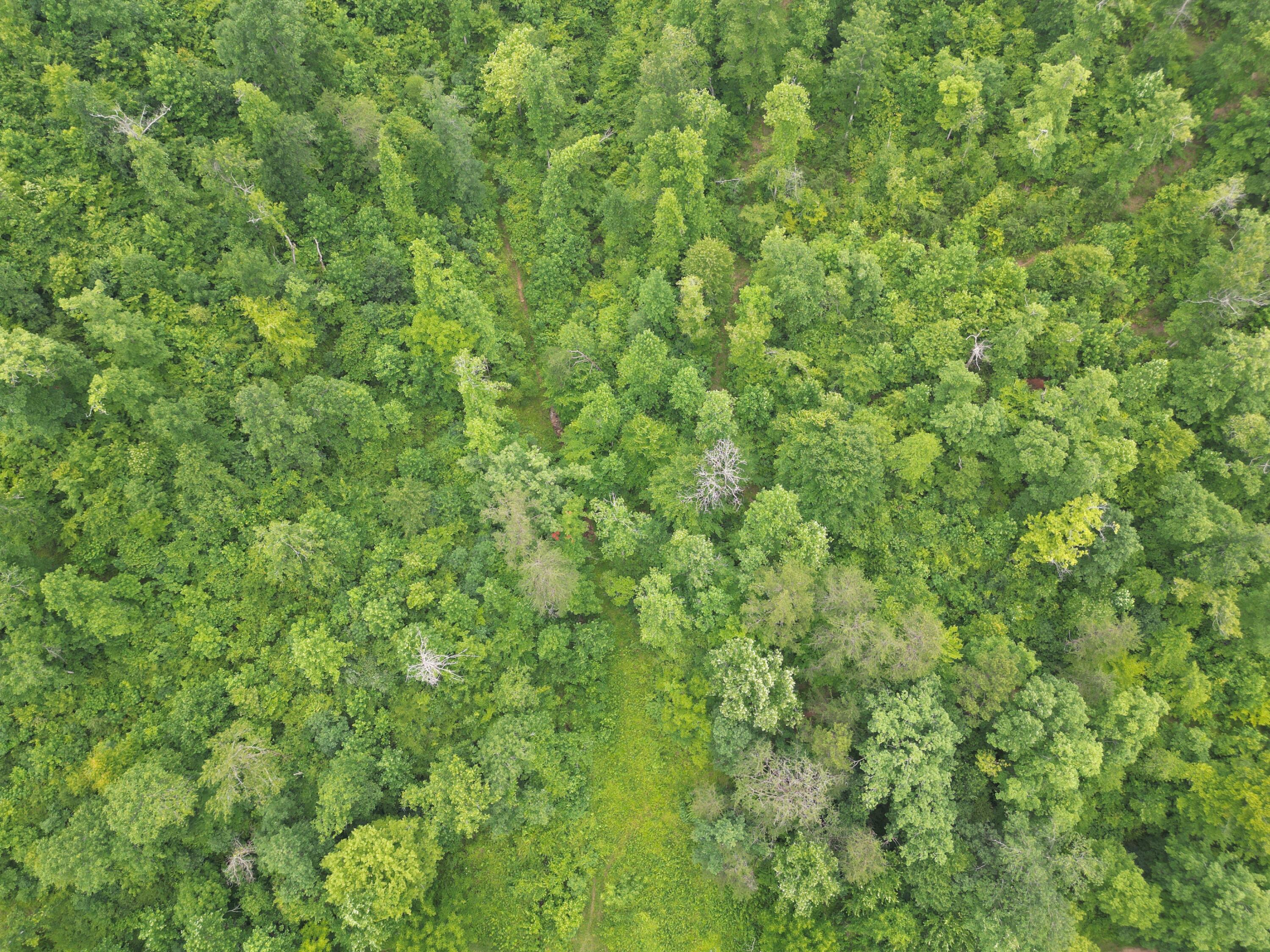 9911 Big Wildcat Road Manchester, KY 40962 - Photo 9 of 13 DJI_0144