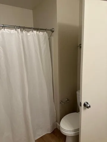 a white toilet sitting next to a shower curtain