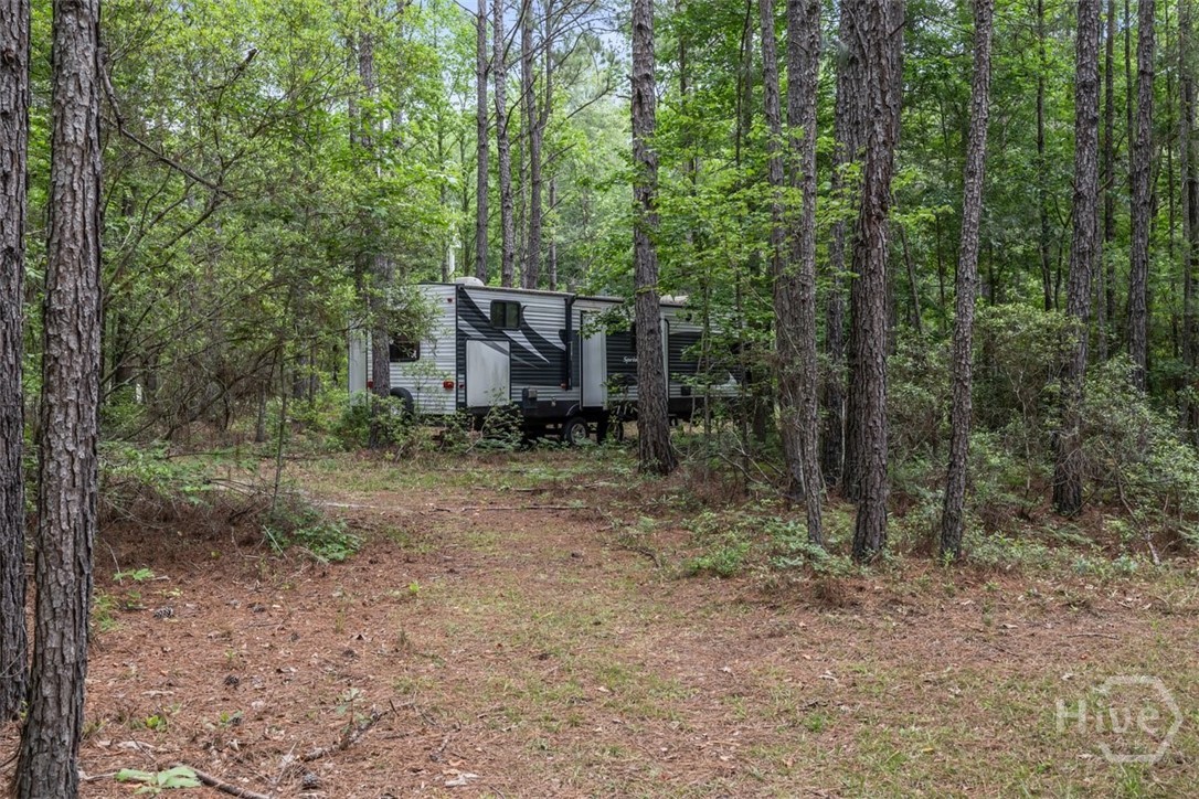 373 Chuck Ellis Road Portal, GA 30450 - Photo 49 of 67