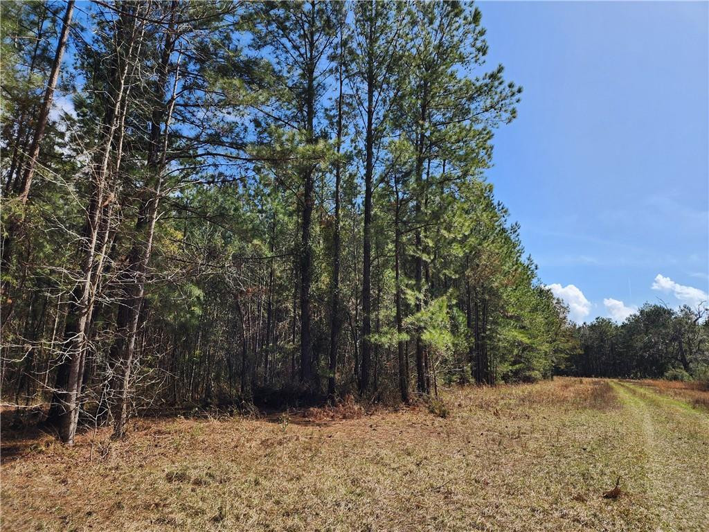 1012 Star Ranch Road Brunswick, GA 31523 - Photo 41 of 43