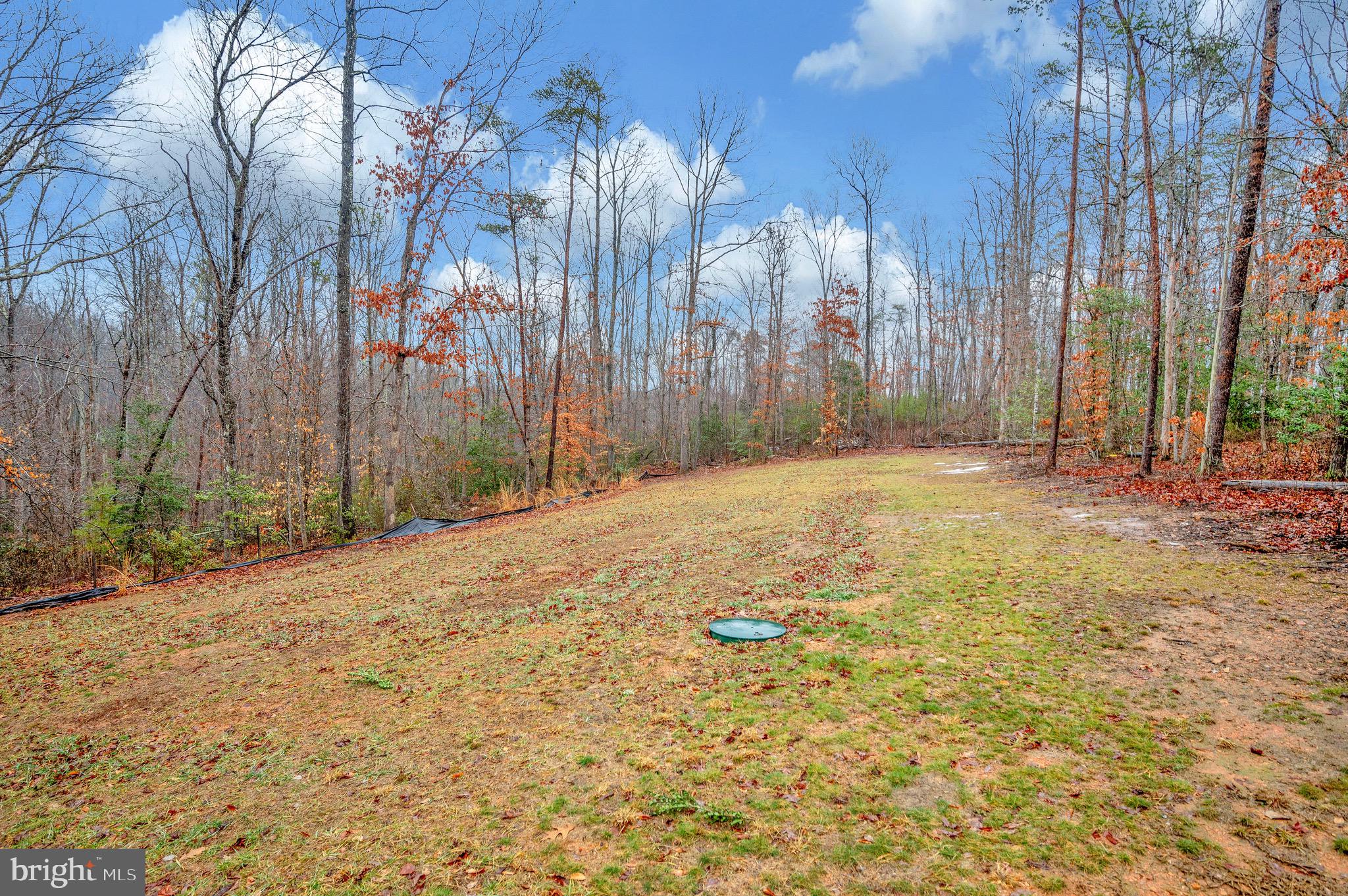 7781 Vermont Road Rhoadesville, VA 22542 - Photo 8 of 59 Gallery Image 8