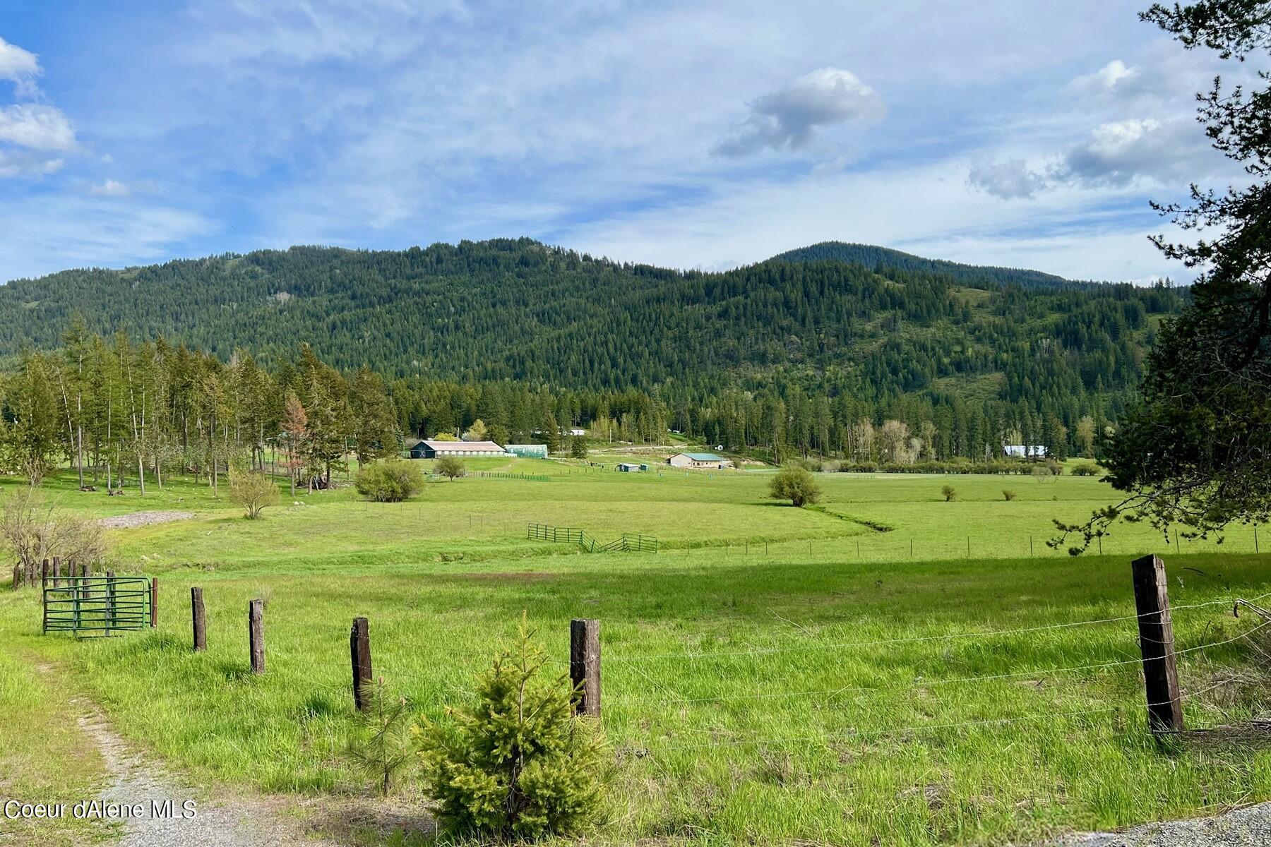 D&d Ridge D&d Ridge Sagle, ID 83860 - Photo 1 of 1 Well-Established Driveway...