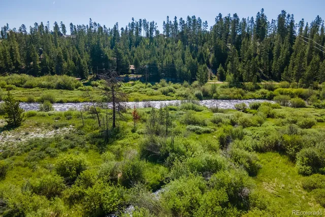 a view of a garden with a lake