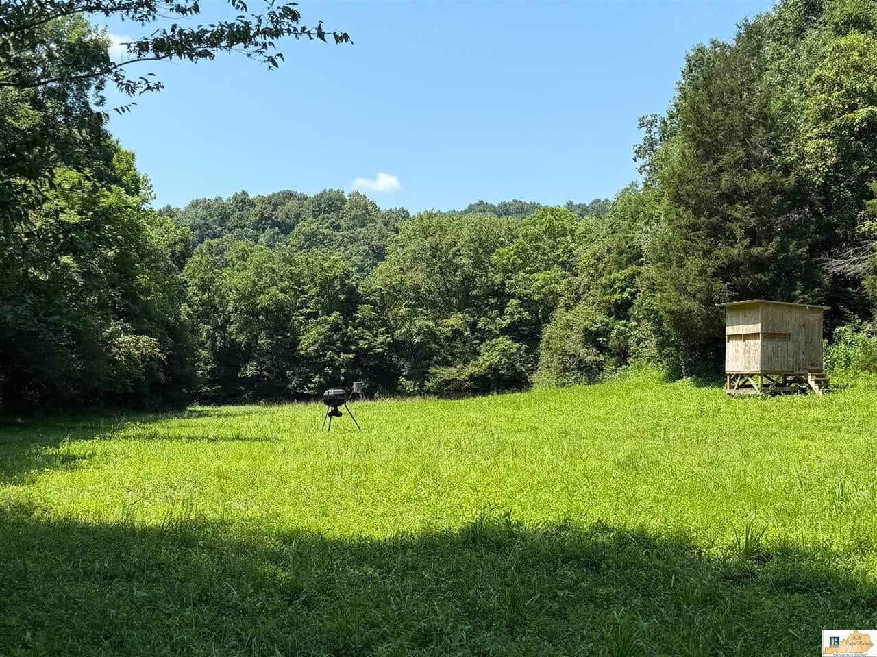 1755 Old 61 Loop Road Breeding, KY 42715 - Photo 5 of 21 Gallery Image 5