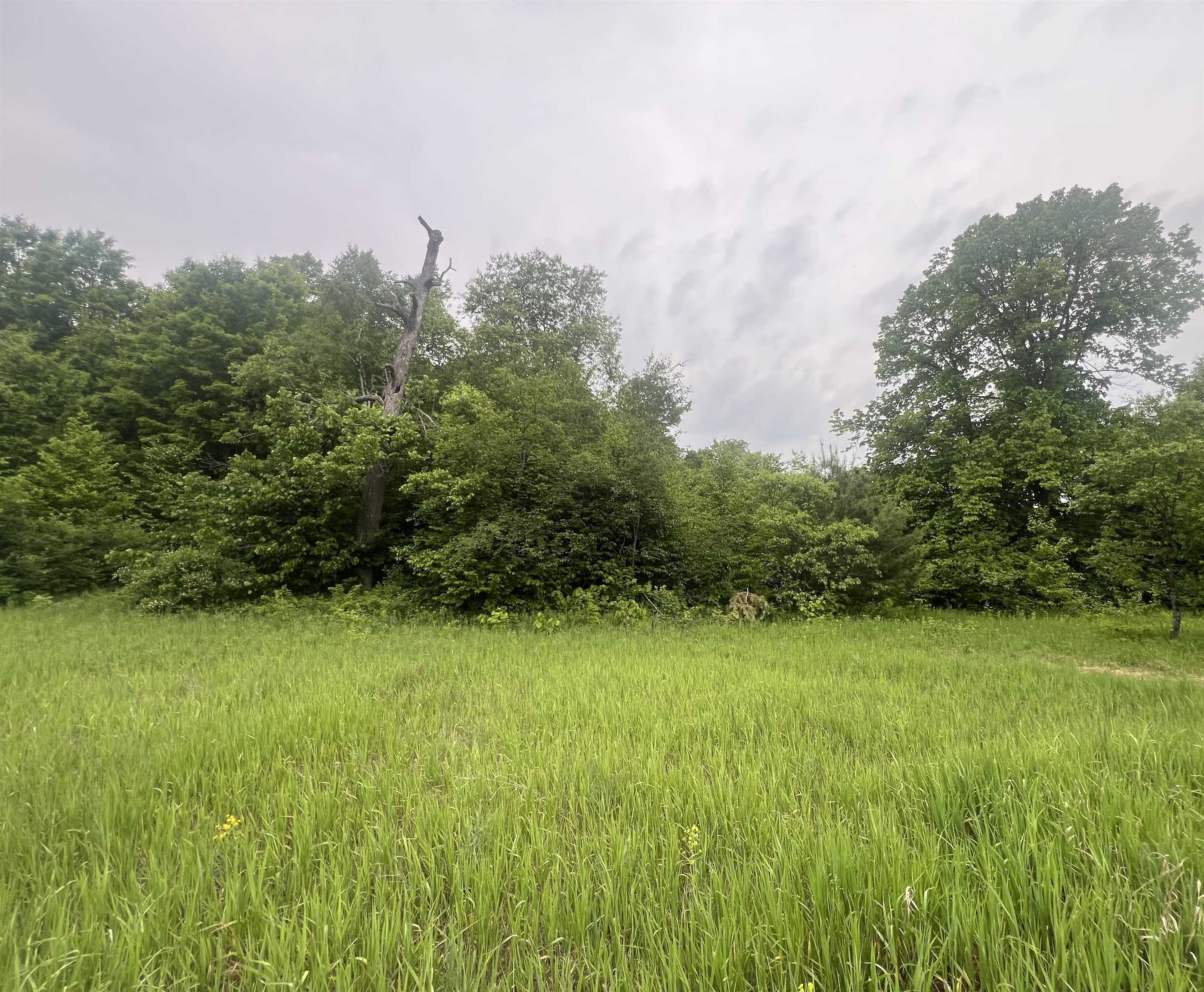 0 Wood Road Northeast Mancelona, MI 49659 - Photo 5 of 7