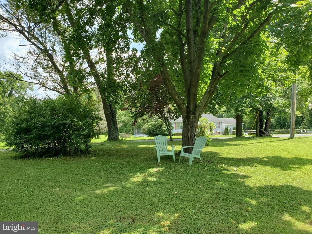205 Wheeler School Road Pylesville, MD 21132 - Photo 8 of 12 Gorgeous trees dot the property