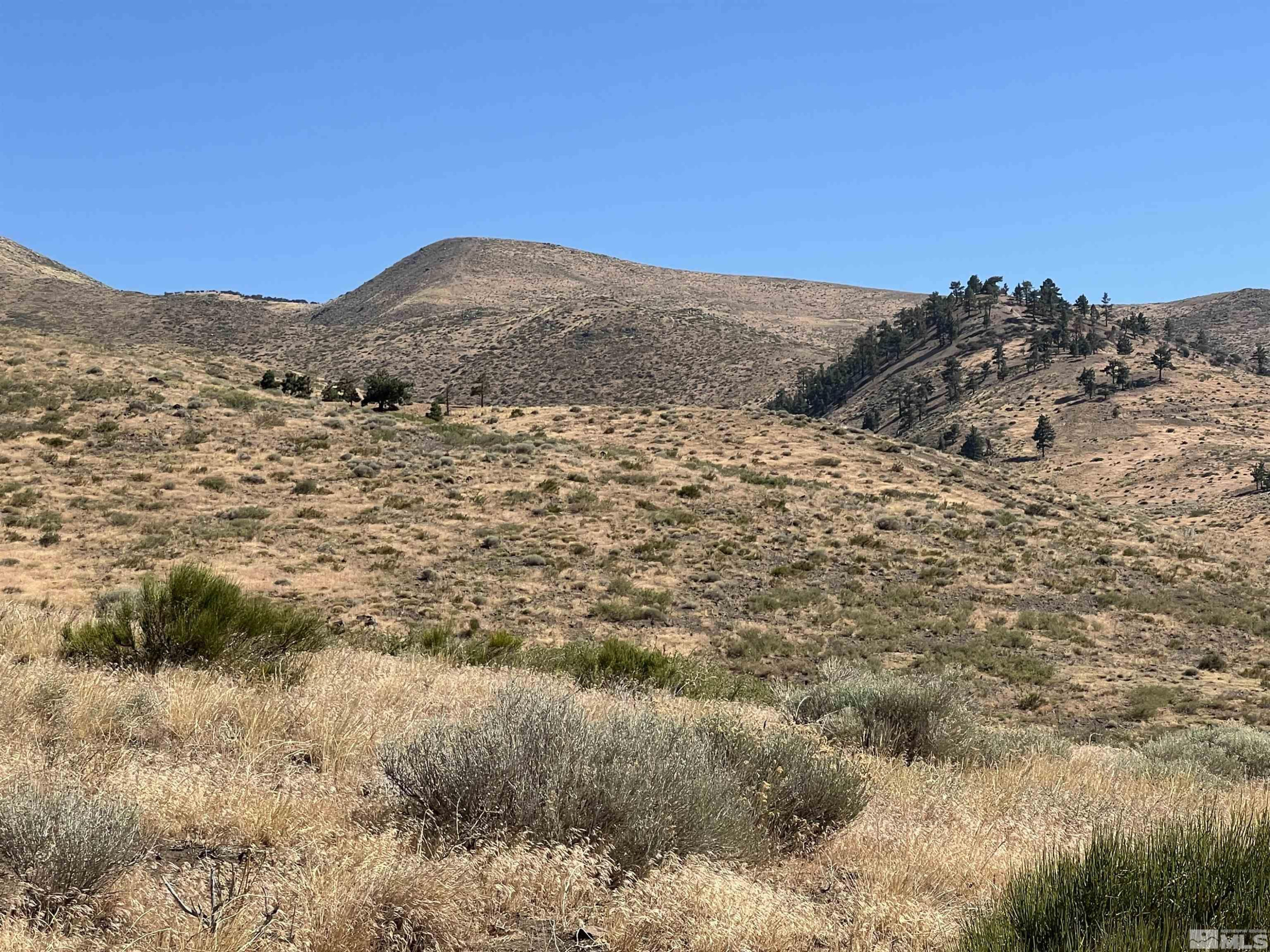 0 Unspecified Reno, NV 89523 - Photo 3 of 6 a view of a dry field