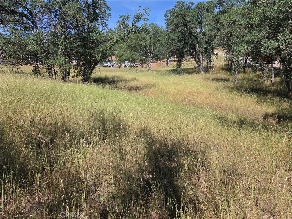 a view of yard with green space