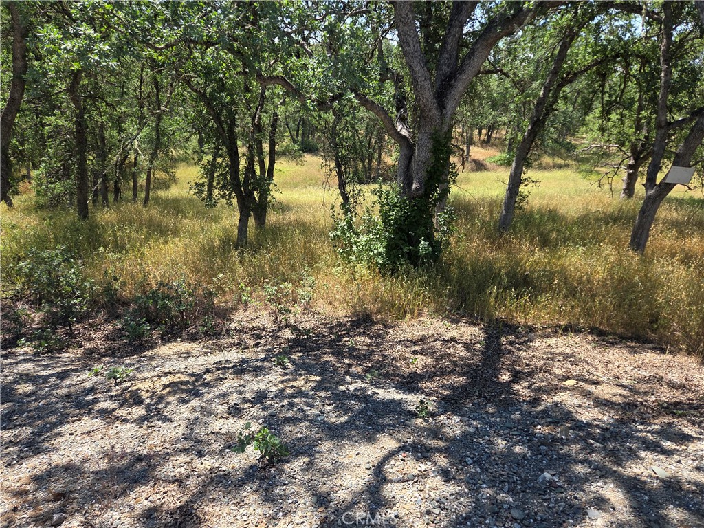 17087 Laramie Point Corning, CA 96021 - Photo 3 of 9 a view of a lake with a tree