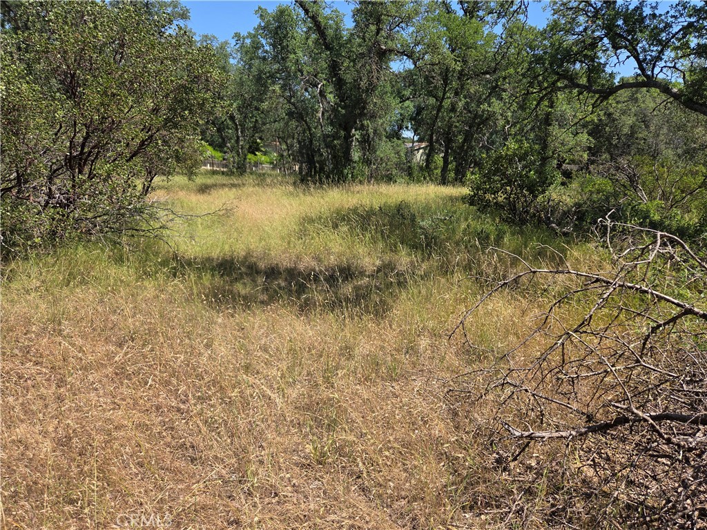 17087 Laramie Point Corning, CA 96021 - Photo 4 of 9 a view of a yard with a tree