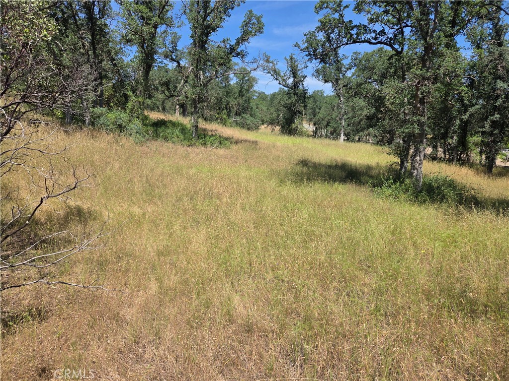 17087 Laramie Point Corning, CA 96021 - Photo 5 of 9