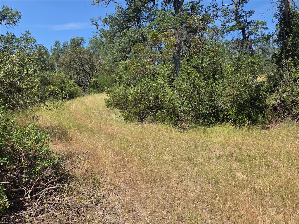17087 Laramie Point Corning, CA 96021 - Photo 6 of 9 a view of a yard with a tree