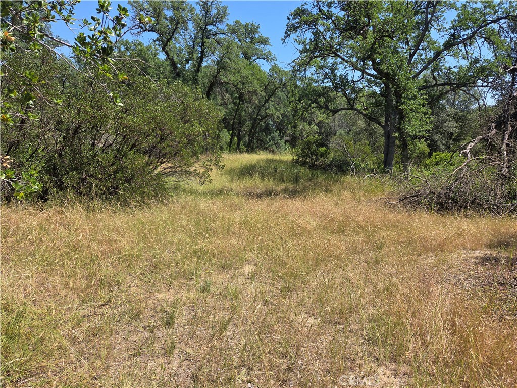 17087 Laramie Point Corning, CA 96021 - Photo 7 of 9 a view of a yard with a tree