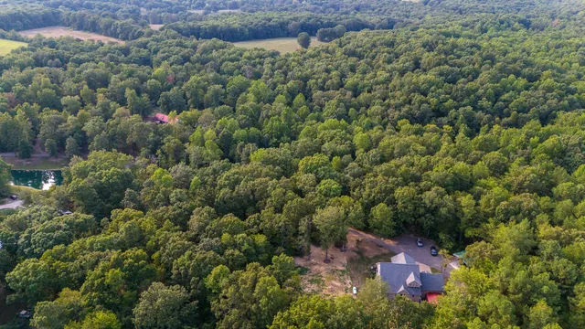 an aerial view of houses with yard