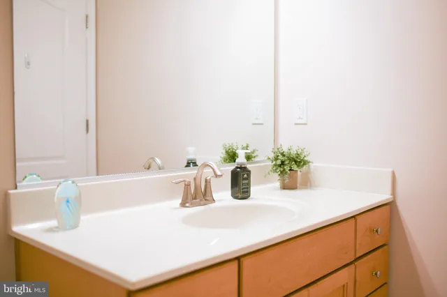 a close view of sink and a potted plant