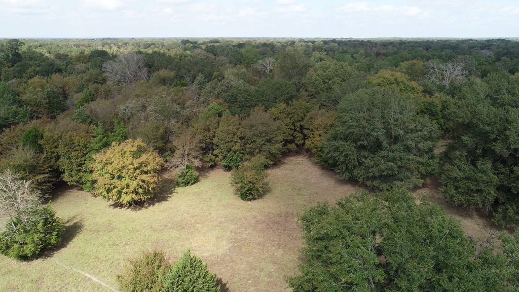 2703 AN County Road Tennessee Colony, TX 75861 - Photo 6 of 30