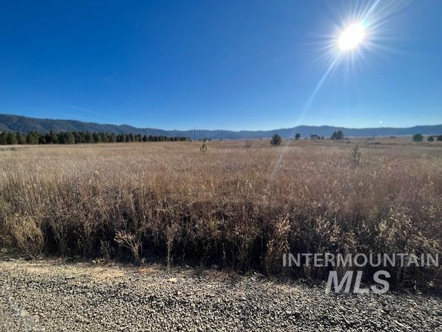 111 Sixty Lane Cascade, ID 83611 - Photo 11 of 50