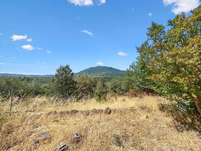 a view of a yard with a tree