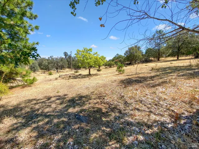 a view of dirt yard with a large tree
