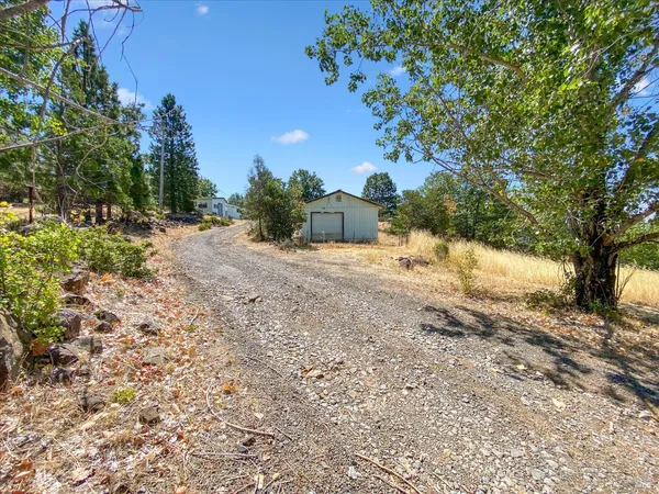a view of a dirt road with trees in the background