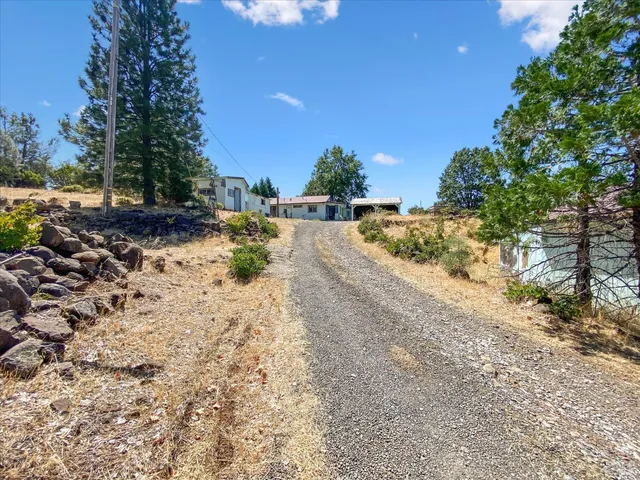 a view of a yard with a tree