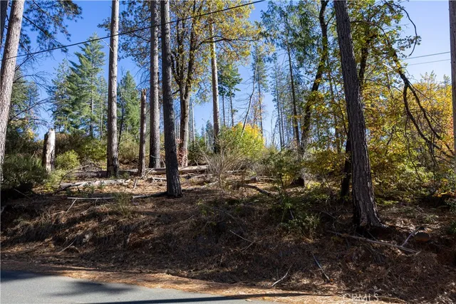 $10,000 | 10991 Gifford Springs Road, Cobb, CA 95426