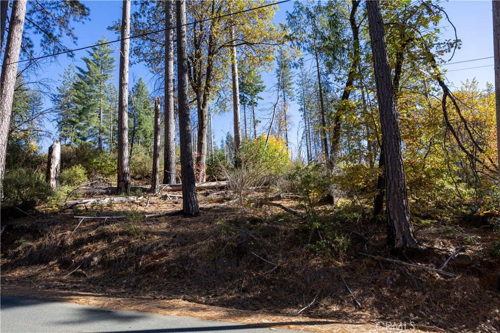 10991 Gifford Springs Road Cobb, CA 95426 - Photo 2 of 7