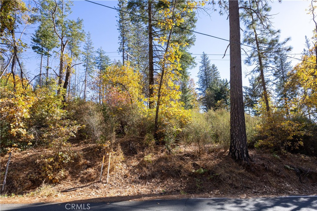 10991 Gifford Springs Road Cobb, CA 95426 - Photo 3 of 7