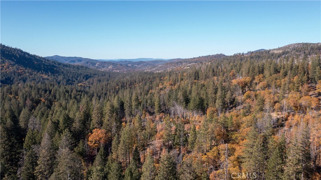 10991 Gifford Springs Road Cobb, CA 95426 - Photo 7 of 7