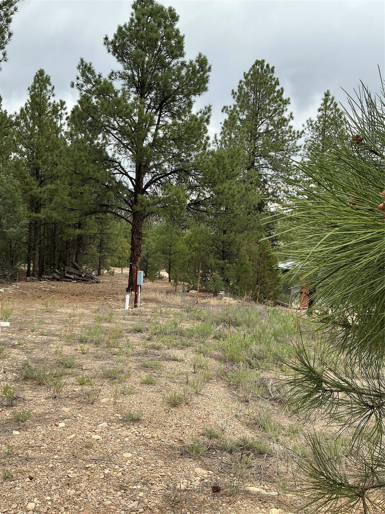 2318 Old Red River Road Questa, NM 87556 - Photo 31 of 36