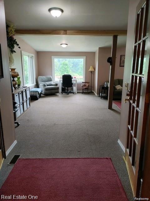 2570 South Fairgrounds Road Imlay City, MI 48444 - Photo 24 of 32 rec room.jpeg