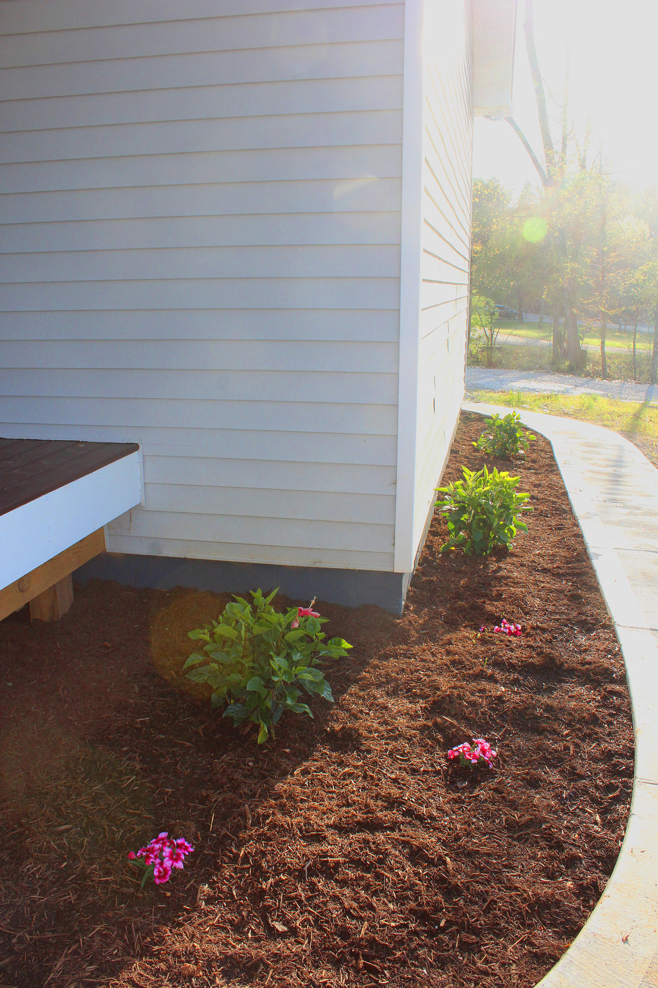 4136 Barb Hollow Road Walland, TN 37886 - Photo 4 of 40 Front Landscaping