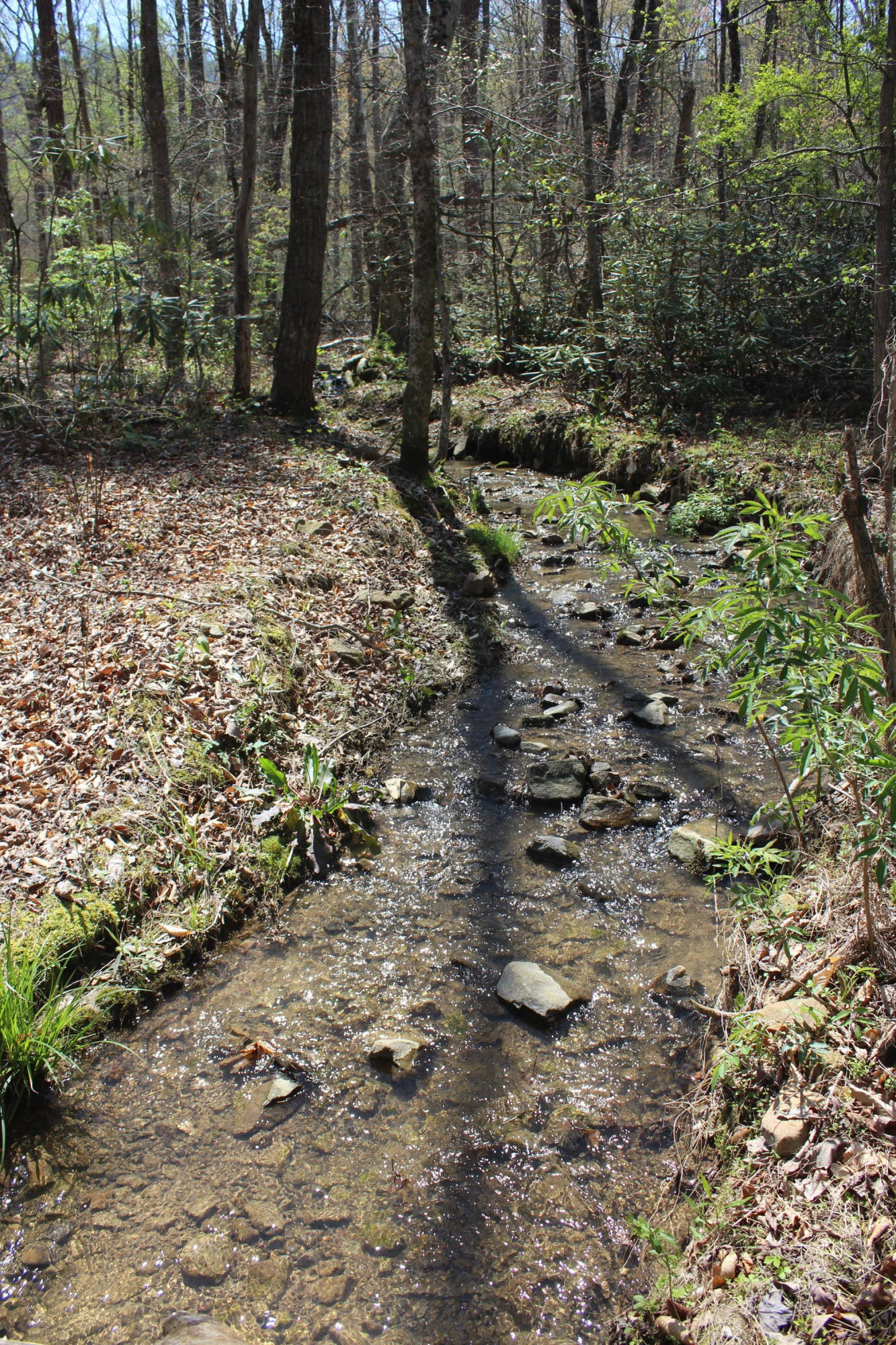 4136 Barb Hollow Road Walland, TN 37886 - Photo 36 of 40 Creek