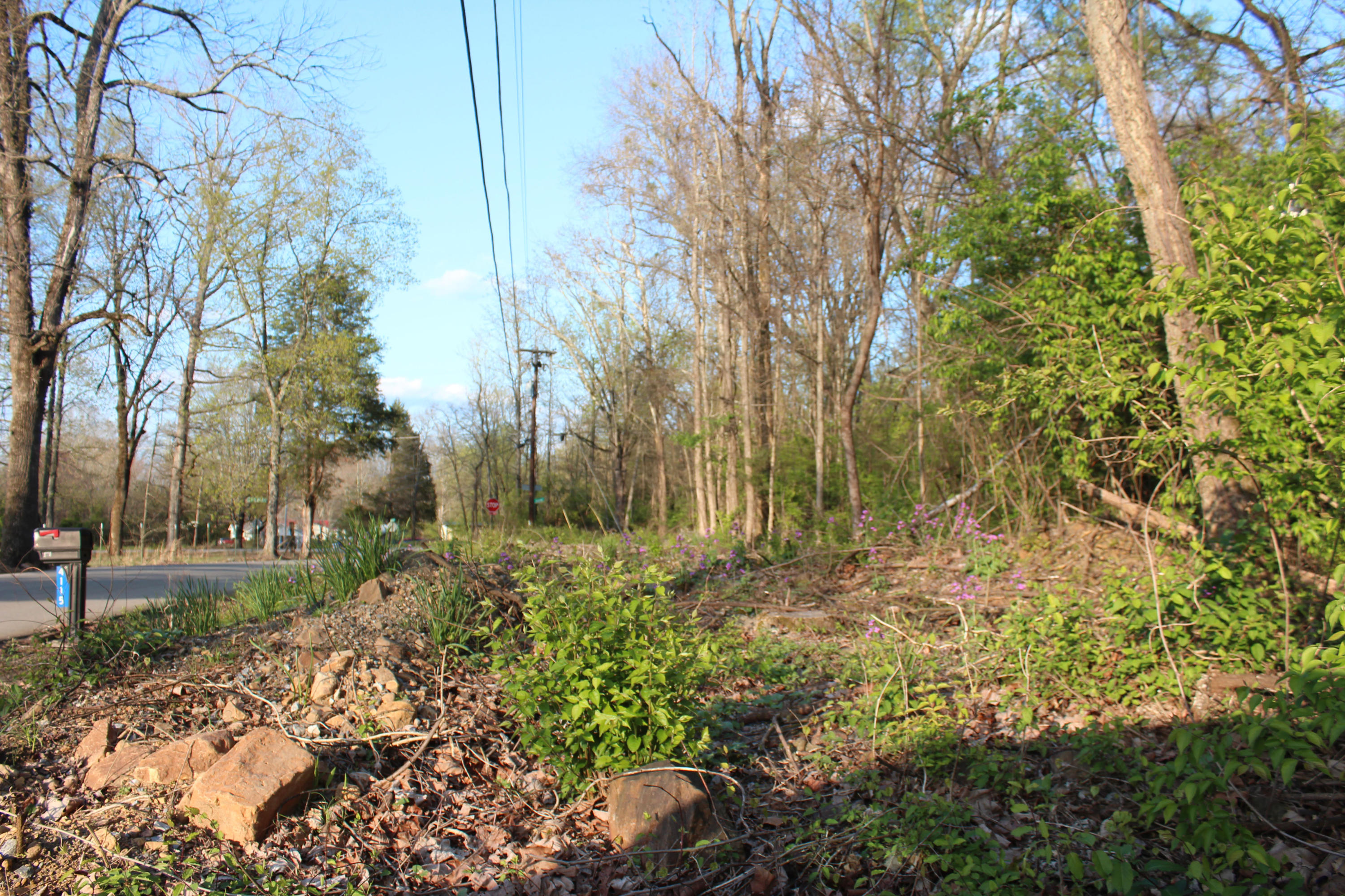 4136 Barb Hollow Road Walland, TN 37886 - Photo 40 of 40 Street Scene