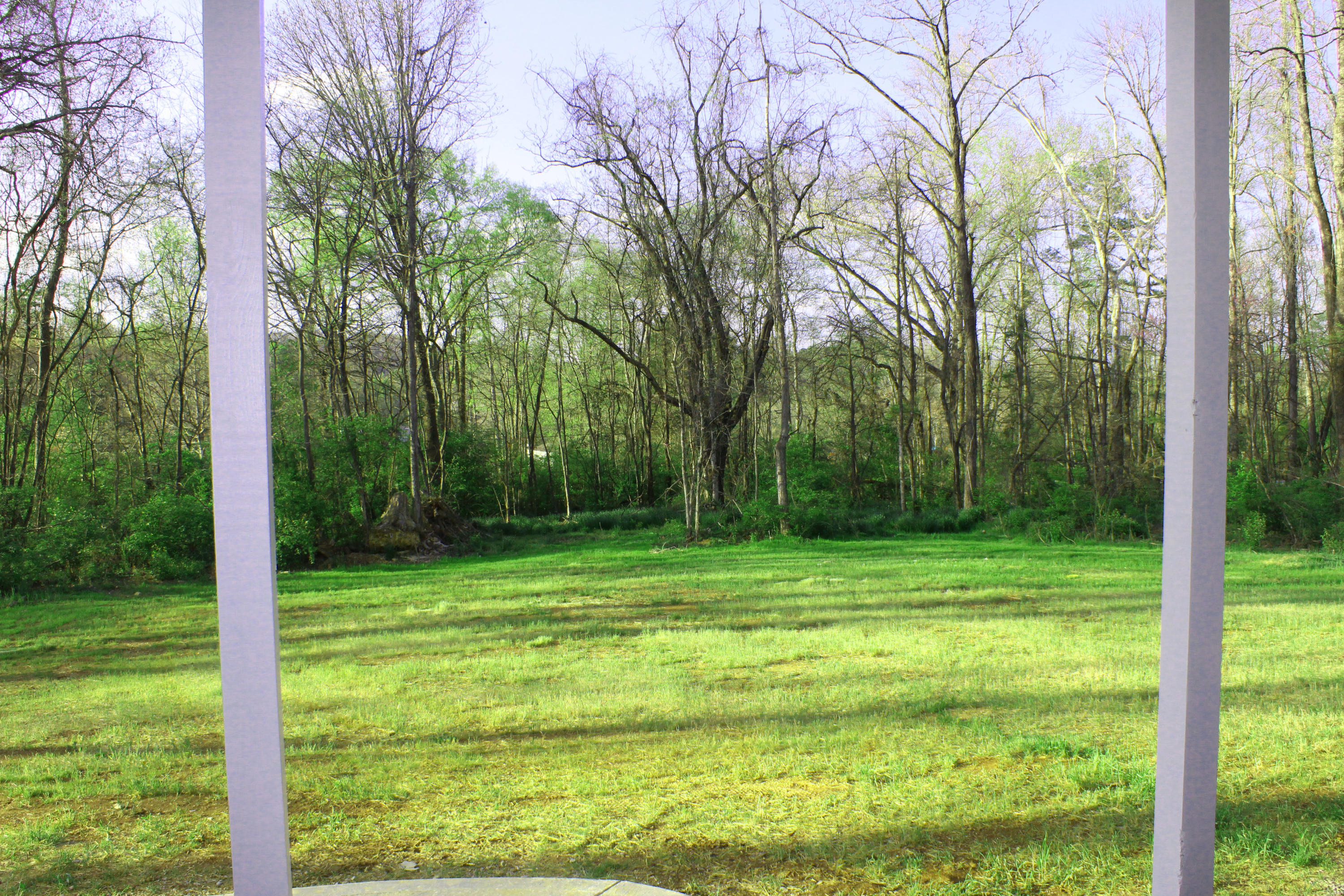 4136 Barb Hollow Road Walland, TN 37886 - Photo 6 of 40 Front Yard