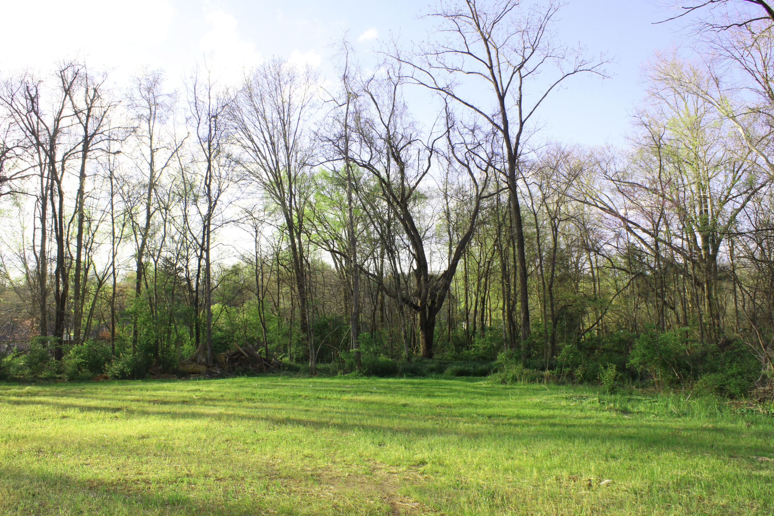 4136 Barb Hollow Road Walland, TN 37886 - Photo 7 of 40 Front Yard
