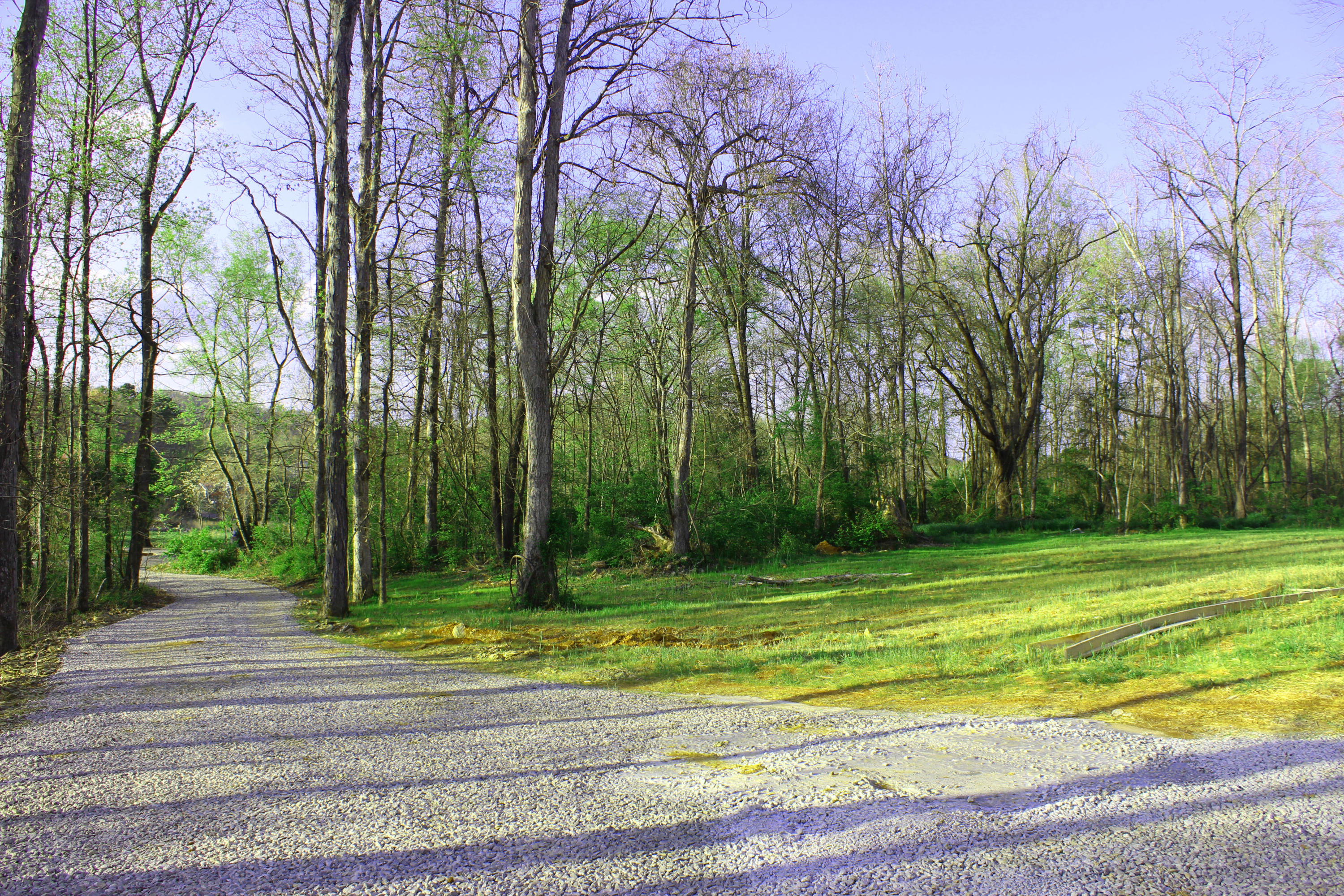 4136 Barb Hollow Road Walland, TN 37886 - Photo 8 of 40 Front Yard
